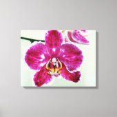 Roze Orchid Canvas Afdruk (Voorkant)