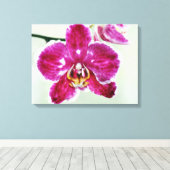 Roze Orchid Canvas Afdruk (Insitu (Houten vloer))