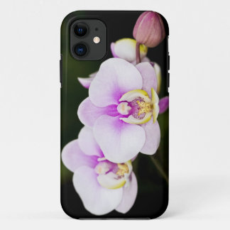 Roze Orchid iPhone 11 Hoesje