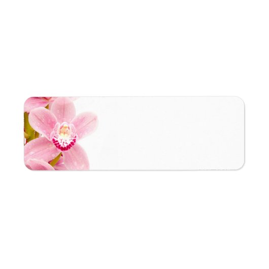 Roze Orchid Etiket (Voorkant)