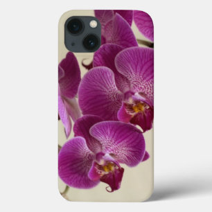 Roze Orchid Flowers iPhone 13 Hoesje