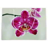 Roze Orchid Groot Cadeauzakje (Voorkant)