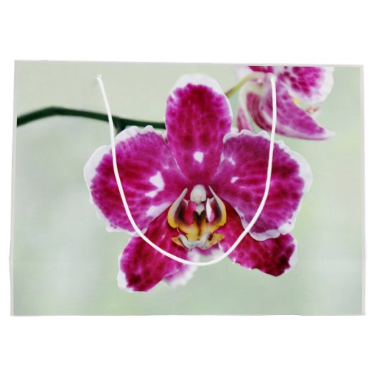 Roze Orchid Groot Cadeauzakje (Achterkant)