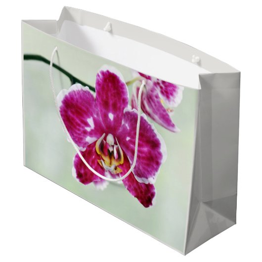 Roze Orchid Groot Cadeauzakje (Achterkant Gekanteld)