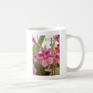Roze Orchid Koffiemok
