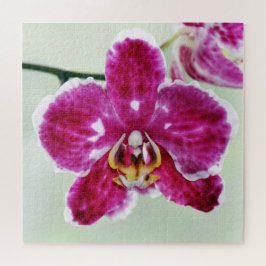 Roze Orchid Legpuzzel