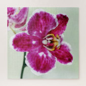 Roze Orchid Legpuzzel (Verticaal)