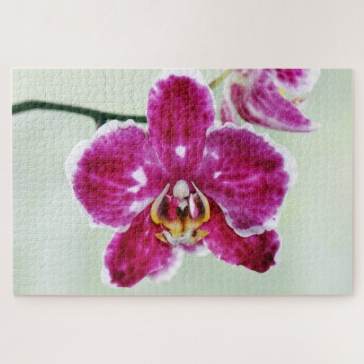 Roze Orchid Legpuzzel (Horizontaal)