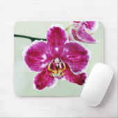 Roze Orchid Muismat (Met muis)