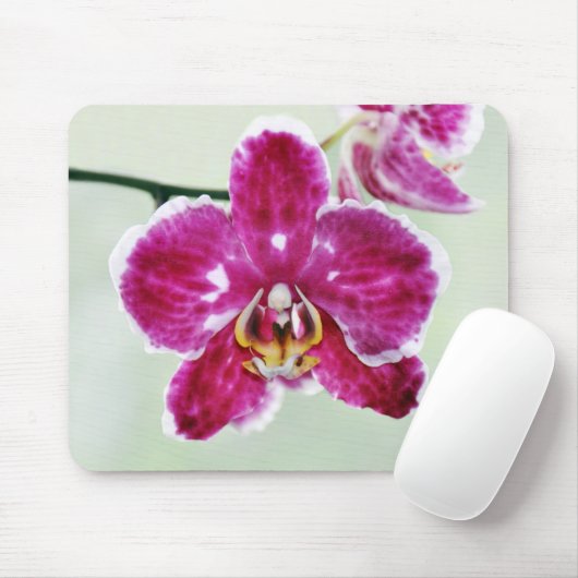 Roze Orchid Muismat (Met muis)