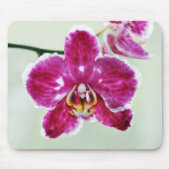 Roze Orchid Muismat (Voorkant)