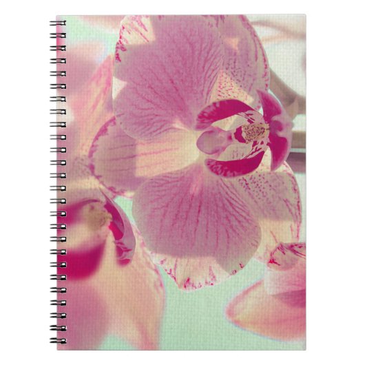Roze Orchid Notitieboek (Voorkant)