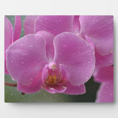 Roze Orchid Plaque Fotoplaat (Voorkant)