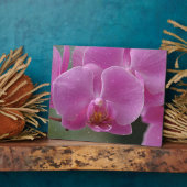 Roze Orchid Plaque Fotoplaat (Zijkant)
