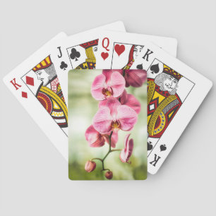 Roze Orchid Pokerkaarten