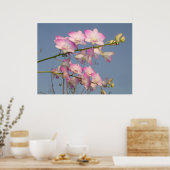 Roze Orchid Poster (Keuken)