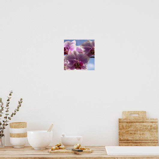 Roze Orchid Poster (Keuken)