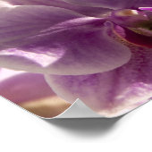 Roze Orchid Poster (Hoek)