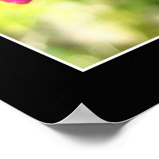 Roze Orchid Poster (Hoek)