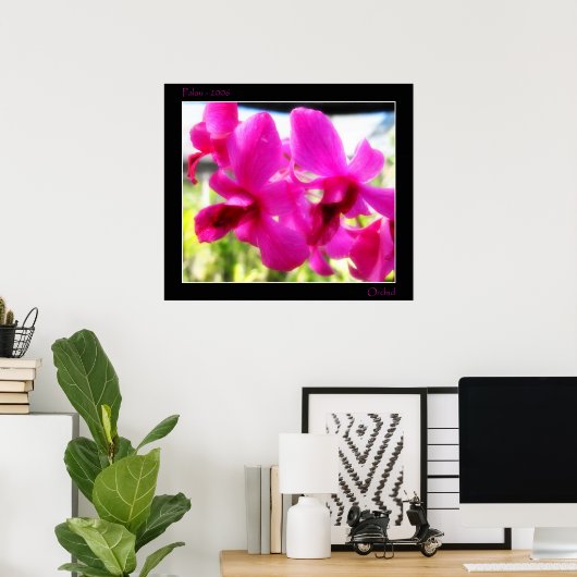 Roze Orchid Poster (Thuiskantoor)