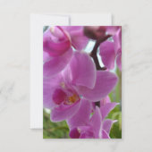 Roze Orchid R.S.V.P. RSVP Kaartje (Voorkant)
