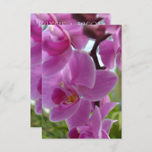 Roze Orchid R.S.V.P. RSVP Kaartje (Voorkant / Achterkant)