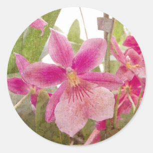 Roze Orchid Ronde Sticker