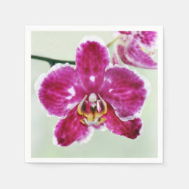 Roze Orchid Servet