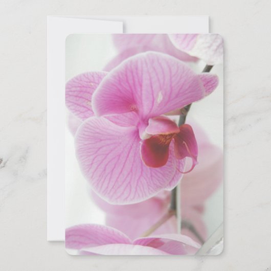 Roze Orchid | Uitnodiging voor Moederdag Brunch (Achterkant)