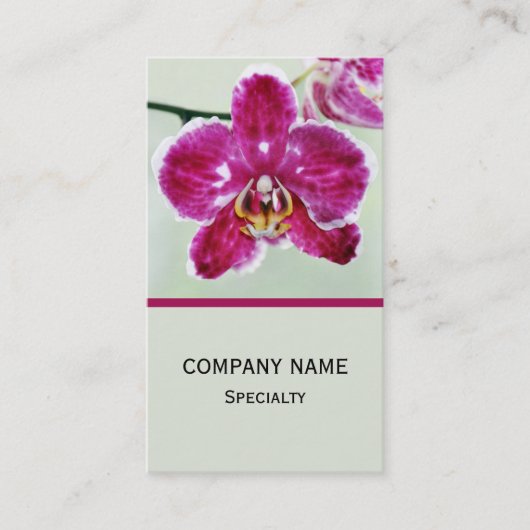 Roze Orchid Visitekaartje (Voorkant)