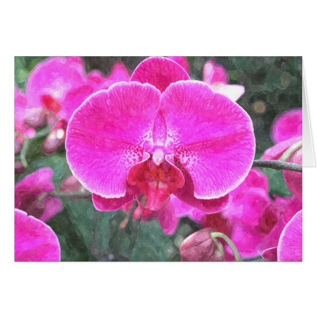 Roze orchidebloem, bloemfotografie (Voorkant Horizontaal)