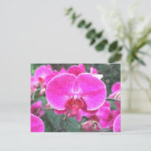 Roze orchidebloem, bloemfotografie briefkaart (Staand voorkant)