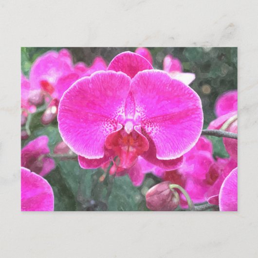 Roze orchidebloem, bloemfotografie briefkaart (Voorkant)