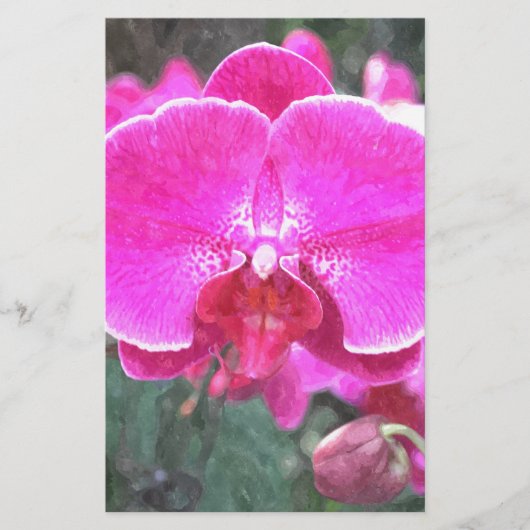 Roze orchidebloem, bloemfotografie briefpapier (Voorkant)