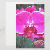 Roze orchidebloem, bloemfotografie briefpapier (Voorkant / Achterkant)