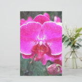 Roze orchidebloem, bloemfotografie briefpapier (Staand voorkant)