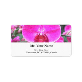 Roze orchidebloem, bloemfotografie etiket