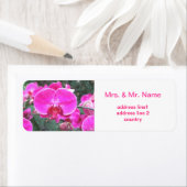 Roze orchidebloem, bloemfotografie etiket (Insitu)