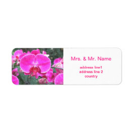 Roze orchidebloem, bloemfotografie etiket