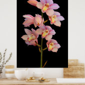 Roze orchidebloem poster (Keuken)