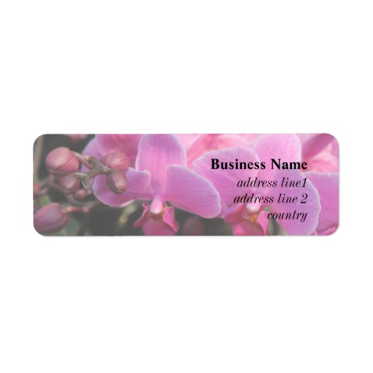 roze orchidebloemen etiket (Voorkant)