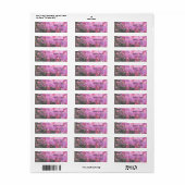 roze orchidebloemen etiket (Full Sheet)