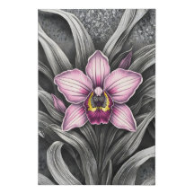 Roze Orchidee Bloei
