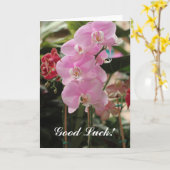 Roze Orchidee bloeit Kaart (Gele Bloem)