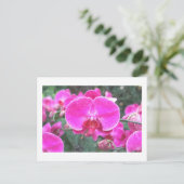 Roze orchidee bloem, bloemfotografie briefkaart (Staand voorkant)