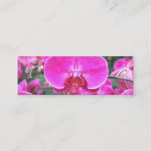 Roze orchidee bloem, bloemfotografie mini visitekaartje