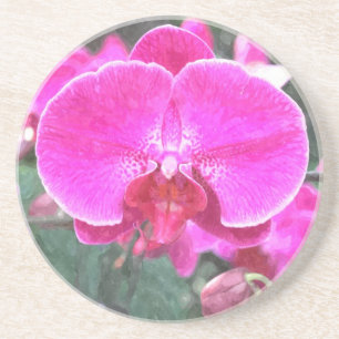 Roze orchidee bloem, bloemfotografie zandsteen onderzetter