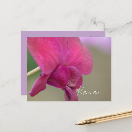 Roze Orchidee Bloem Kauai Briefkaart (Voorkant / Achterkant in situ)