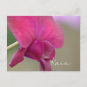 Roze Orchidee Bloem Kauai Briefkaart (Voorkant)