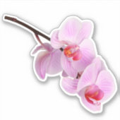 Roze Orchidee Bloem Kiss-cut Sticker (Voorkant)